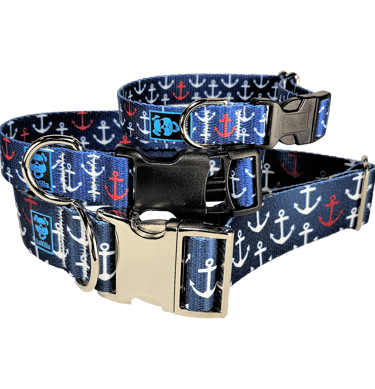 A blue Dog Collar with white anchors for salty dogs of adventure