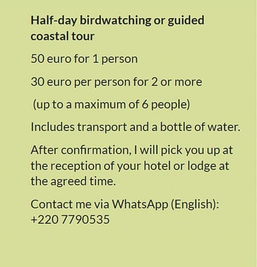 Flyer half-day birdwatching or guided coastal tour in Gambia. Price €50 for 1 person or €30 per pers