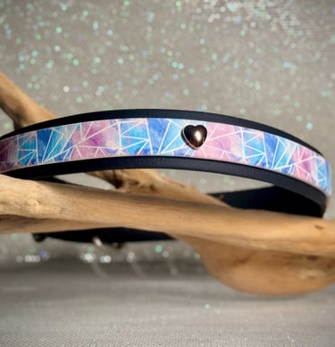 collier chien