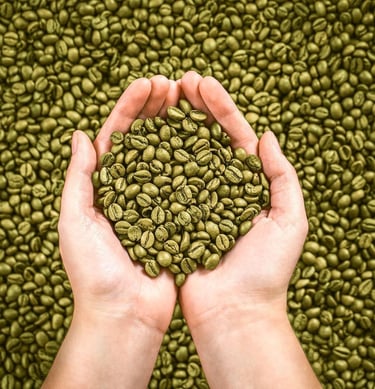 Supplier of Arabica coffee beans from Indonesia, Sumatra, Gayo, Java,  Preanger, Ijen Raung, Kawi