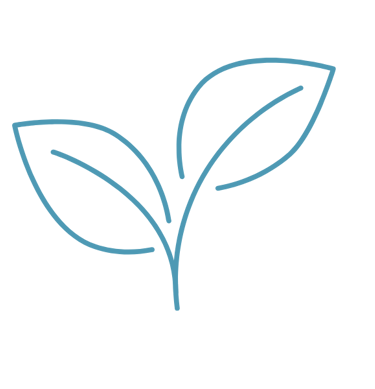 a plant with leaves on a black background