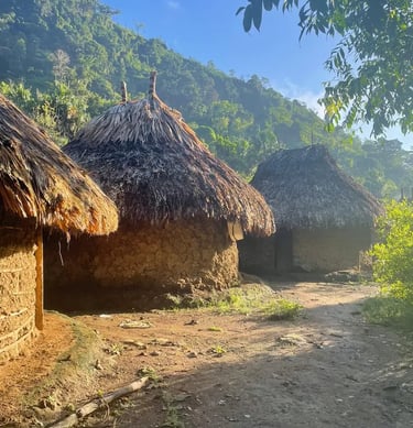 Traditional indigenous thatched-roof mud huts in a village in the Sierra Nevada de Santa Marta mountains.