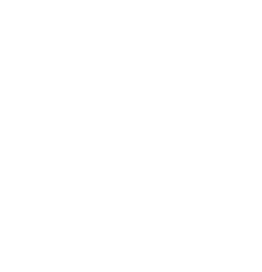 logo Céline Naud psychanalyste