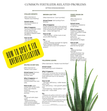 Thirteen page printable fertilizer guide from Quiet at Home explaining plant nutrition, dilution rat