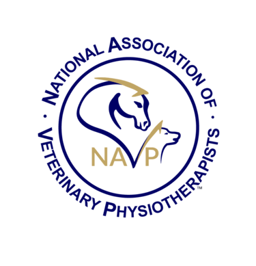 NAVP