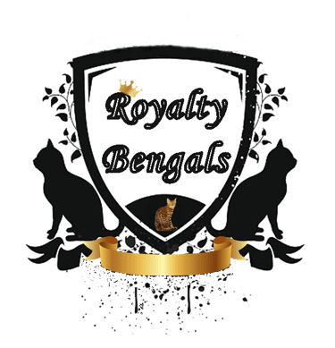 Royalty Bengals logo featuring a crest with cat silhouettes and a spotted Bengal kitten.