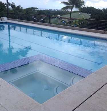 natural coral stone pool