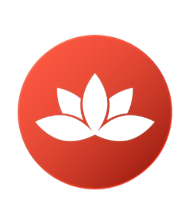 no preservatives natural organic