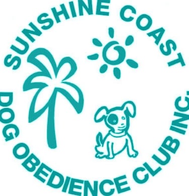 dog obedience training 