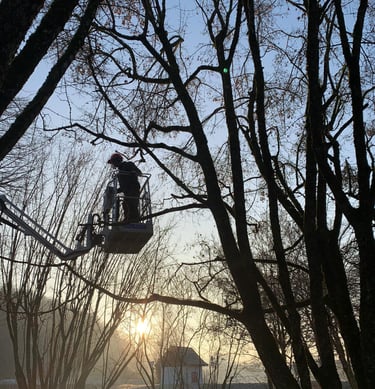 J. Landolt Gartenbau GmbH – Ihr zuverlässiger Partner für hochwertigen Gartenbau in Bülach 🌳