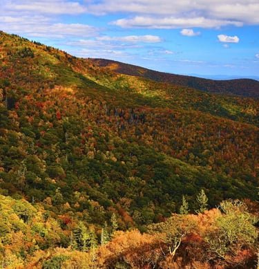 Blue Ridge Parkway