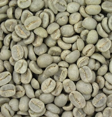 full wash arabica green bean