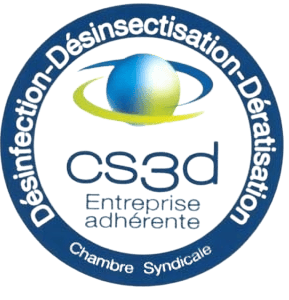 cs3d
