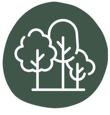 Icon: Park – abwechslungsreiche Trainingsorte in der Natur