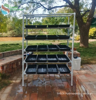 Hydroponic fodder and microgreens