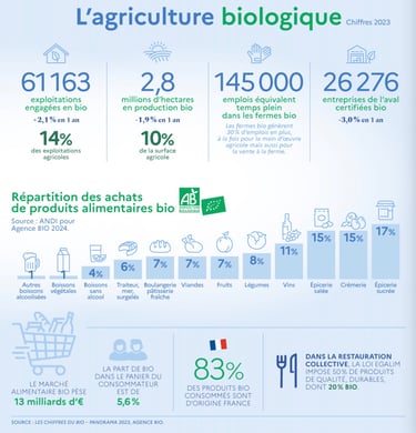 PESTICIDES AGRICULTURE CARTES INFOGRAPHIES