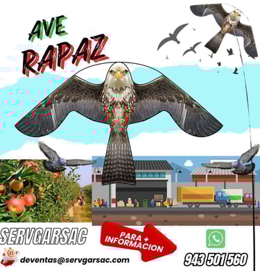 cometa espanta aves plagas