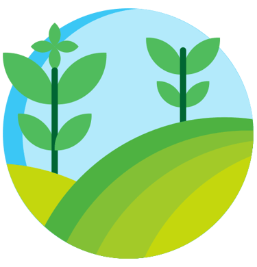 Agriculture biologique