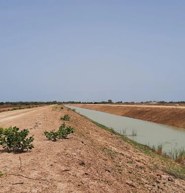 tepro-anambe-canal-irrigation-perimetre-rizicole