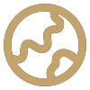 Gold circular globe icon with stylized wavy lines representing continents on a black background.