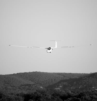 planeur à l'atterissage