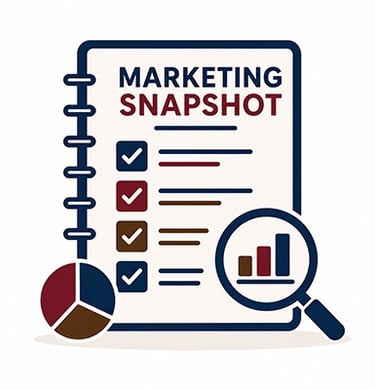 An icon representing the Marketing Snapshot document