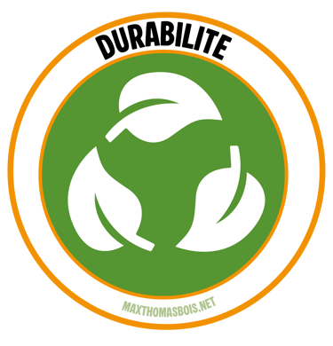 Logo de MaxThomasBois d'une carte de France du bois de chauffage durable