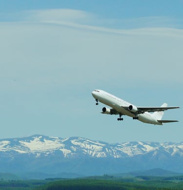 Ferry Flights, Acceptance Flight, MCF Flight Airbus & ATR