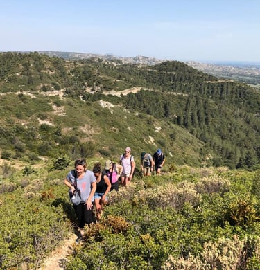 randonnee alpilles team building avignon oleis trave