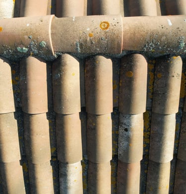 Inspection de toiture (13)