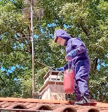 frelon toit st médard en jalles