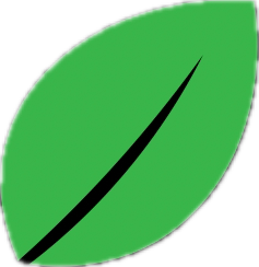 Eco Friendly Junk Removal