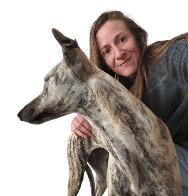 educateur canin toulouse - education canine 31