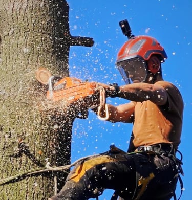 élagueur en plein action d'élagage d'un arbre