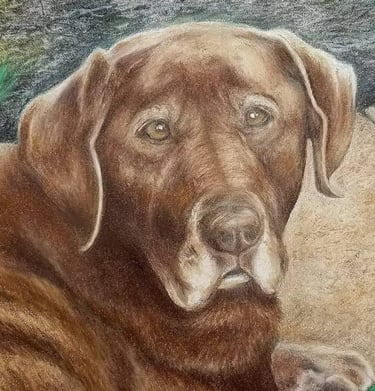 Untitled, colored pencil on 9x12 paper, Laura Roy artist, 2017