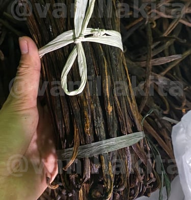Grade C vanilla beans