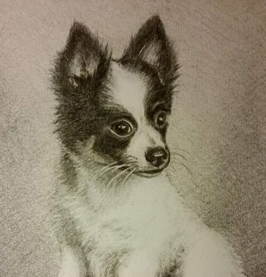 Untitled, pencil on 5x7 paper, Laura Roy artist, 2016