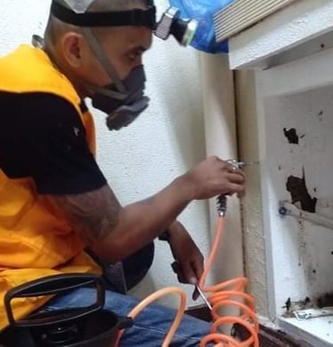 Professional termite control specialist treating wood damage in a kitchen cabinet with liquid termiticide.
