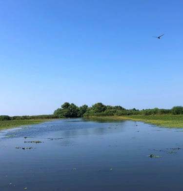 channel in danube delta