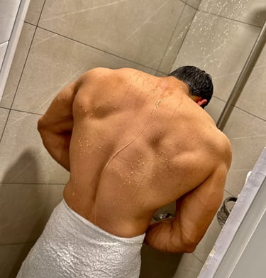 Back muscles