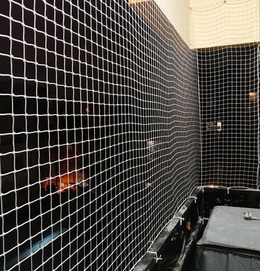 balcony nets installed for safety and pigeon control in bengaluru