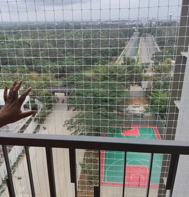 Wide shot showing a building facade covered with durable pigeon nets to keep birds away.