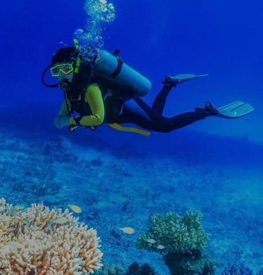 scuba diving mirissa