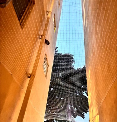 Close-up of the durable net material used to keep pigeons away from balconies.