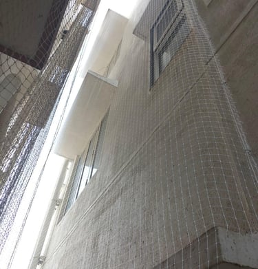 Happy homeowner pointing to the newly installed anti-pigeon net protecting their windows.