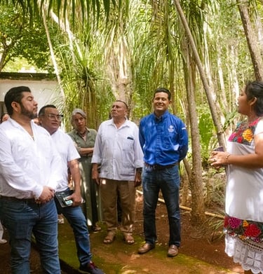 Un grupo de personas escucha a un guía en un jardín botanico con palmeras y plantas nativas