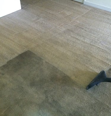 a vacuum cleaner cleaning a carpet with a vacuum