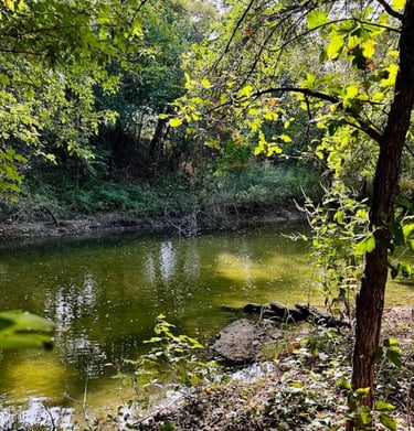 Squaw Creek or Comanche Creek in Glen Rose, TX
