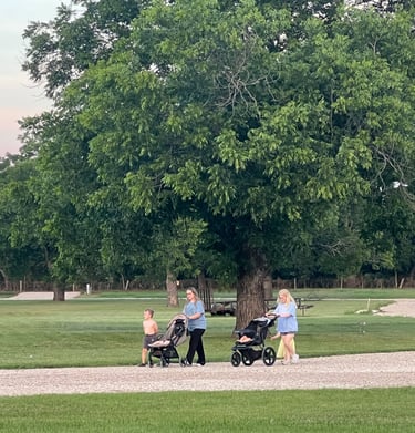 Park like setting mature trees glen rose rv park