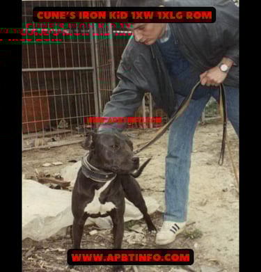 Cune’s Iron Kid 1xw 1xlg ROM